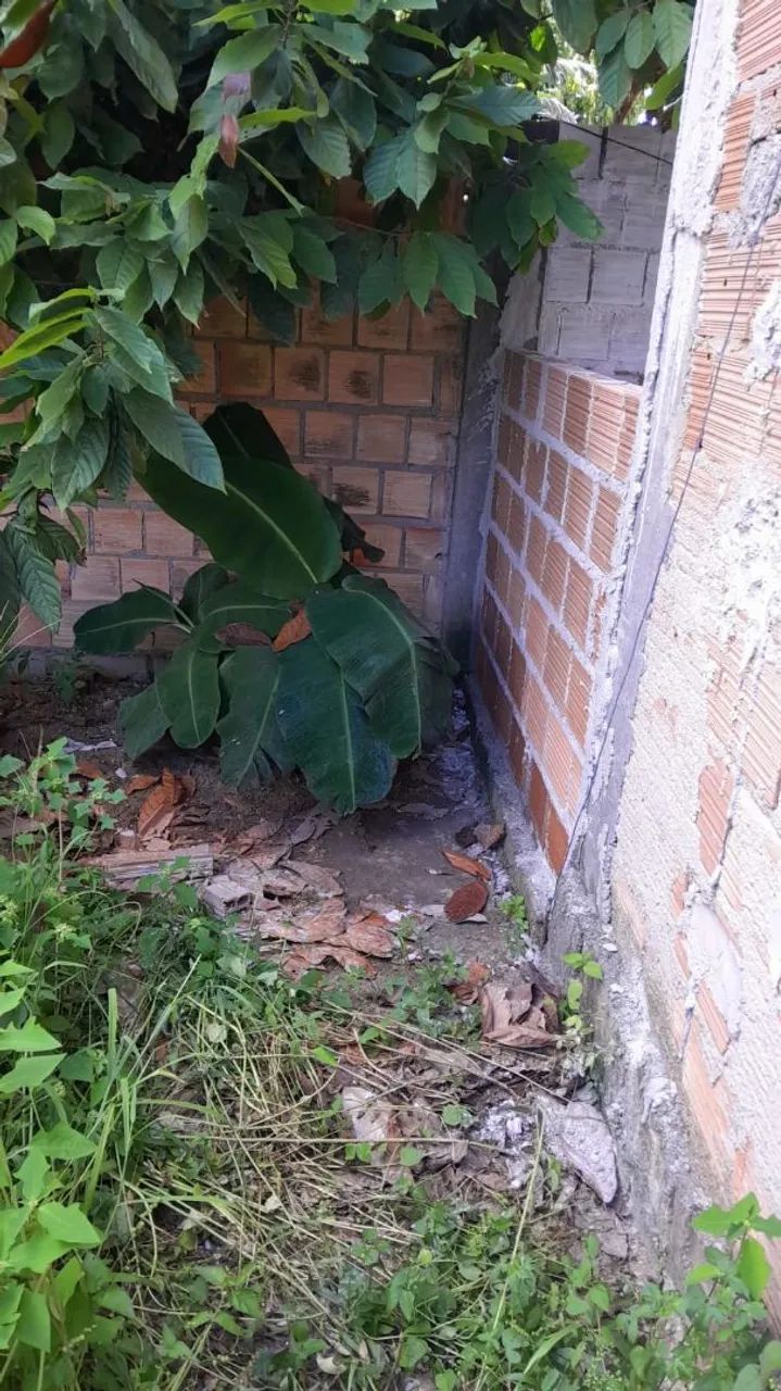 Lote em Trancoso Porto seguro 