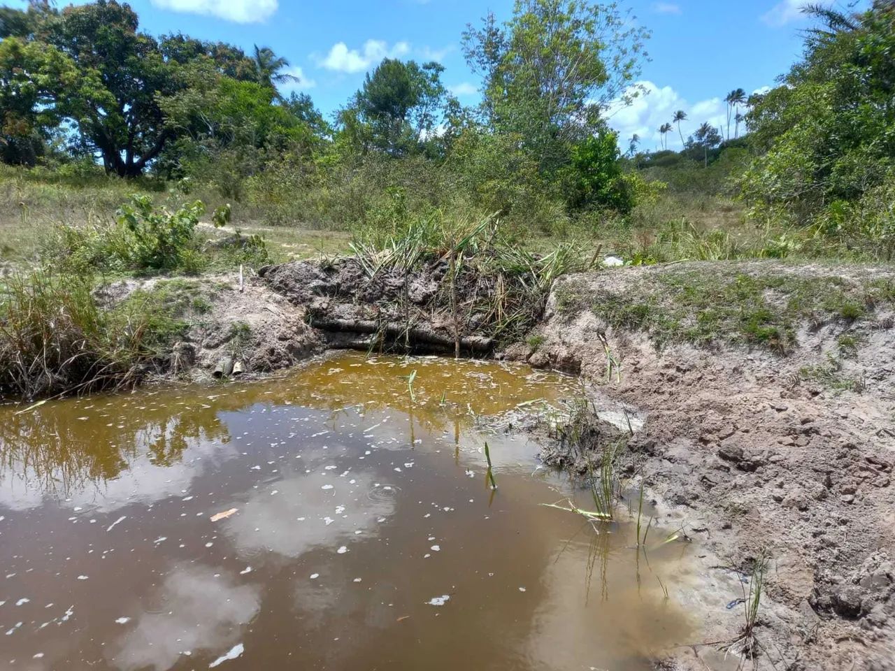 ~ Fazenda São João Evangelista - Foto 6