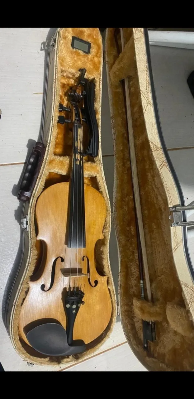 Violino