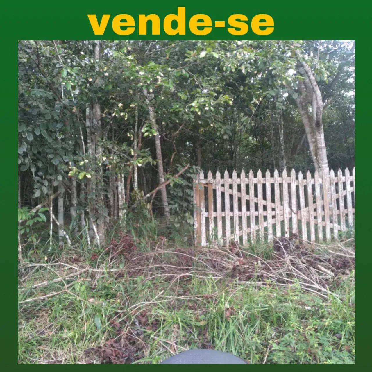 2 Terrenos de 5.000m² em Aldeia - KM 8 - Foto 2