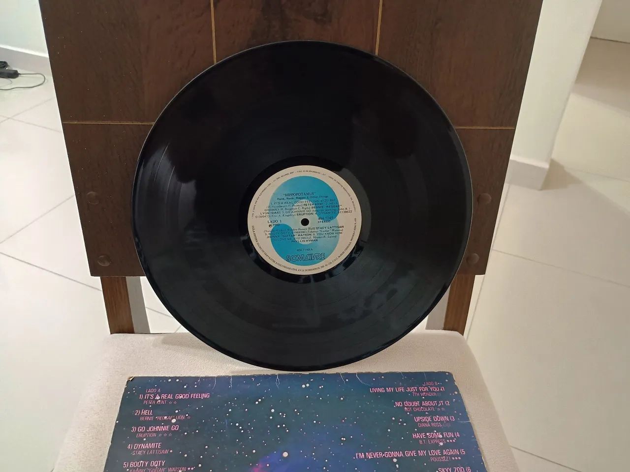 Disco de vinil hippopotamus  - Foto 2