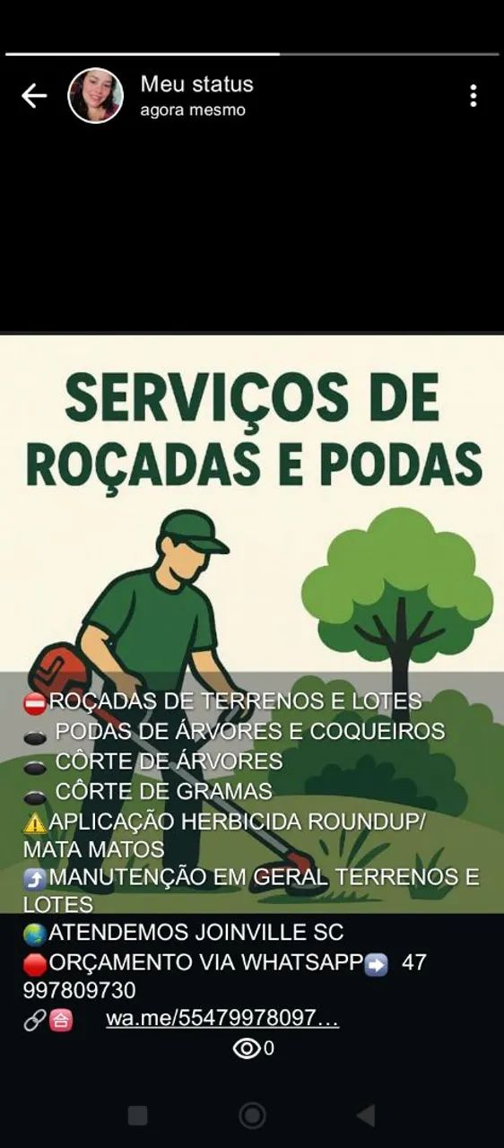 Serviço de Roçada de terreno podas de árvores 