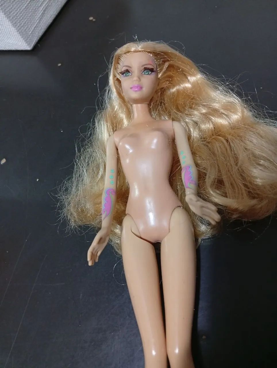 Elida, Barbie Ferytopia, Fada do Campo 2005 - Foto 3