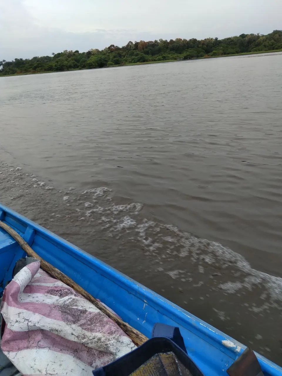 Foto - Manaus - Santa Etelvina