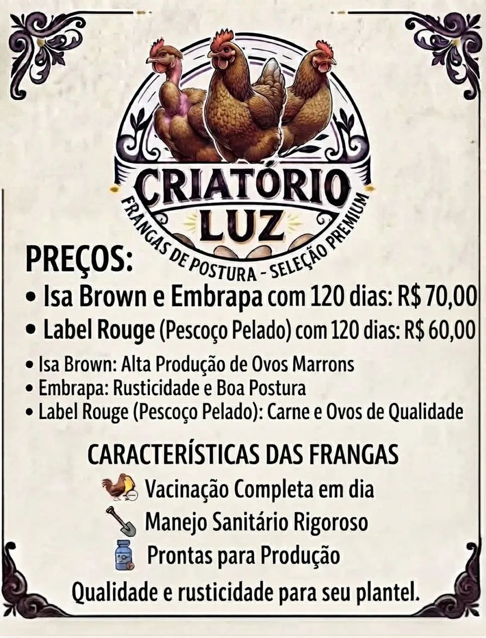 Label Rouge/Isa Browm/Embrapa - Foto 3
