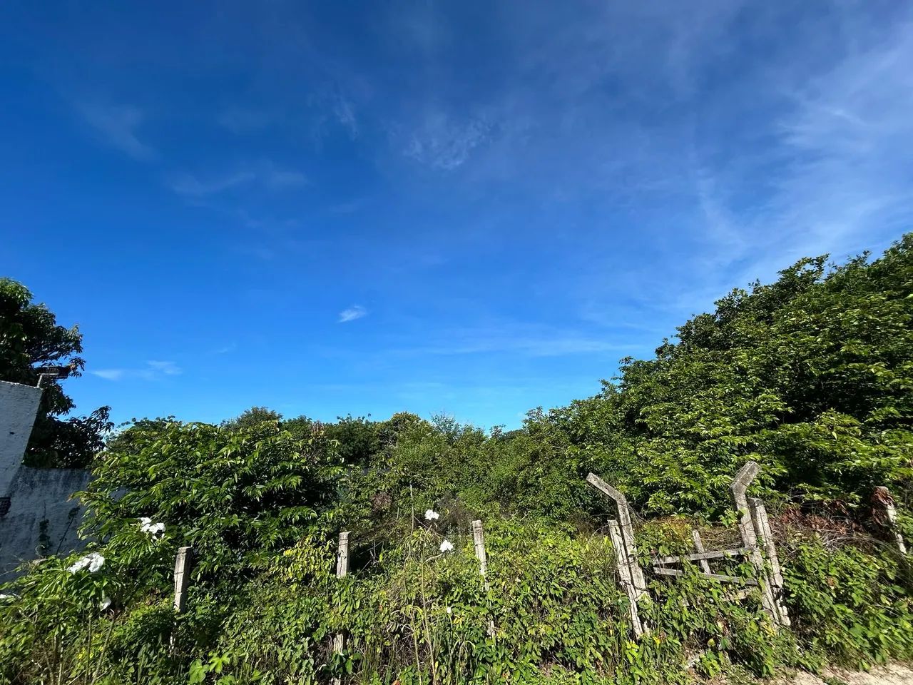 TERRENO para alugar na cidade de EUSEBIO-CE - Foto 4