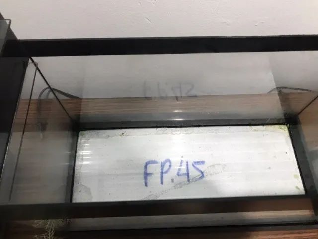 Aquario 20 litros sem tampa - Doação - tem que Retirar - Foto 2