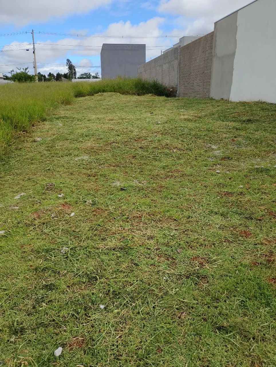 Foto - Sorocaba - Jardim Tropical
