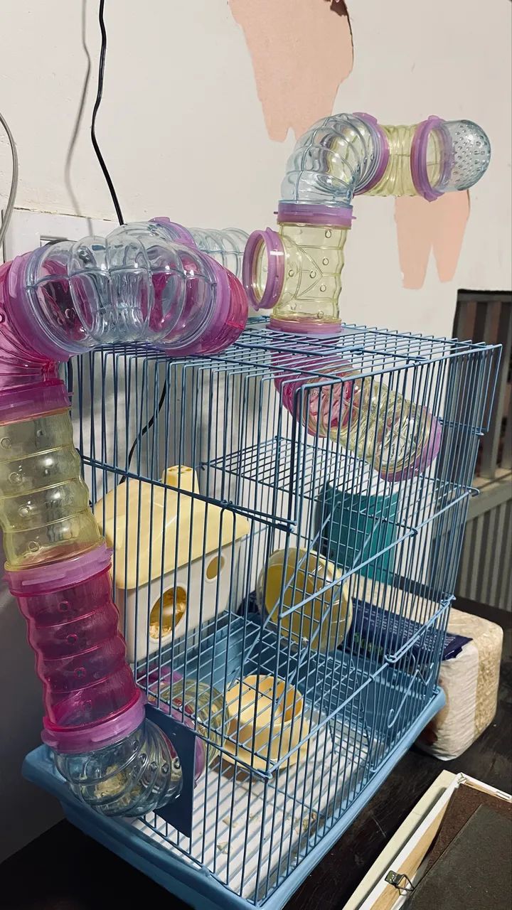Gaiola De Hamster435653741842288643