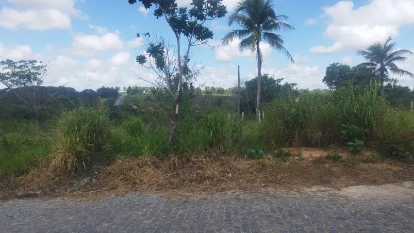 Foto - Itaporanga DAjuda - 