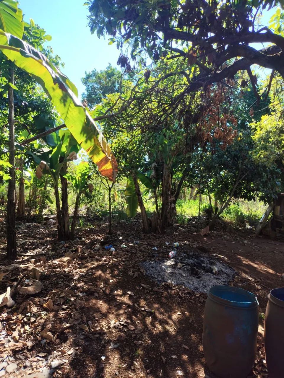 Vende se ou troca sítio  - Foto 4