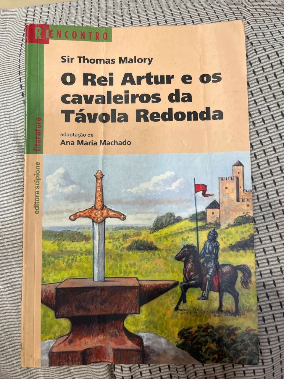 Livro Paradidático 