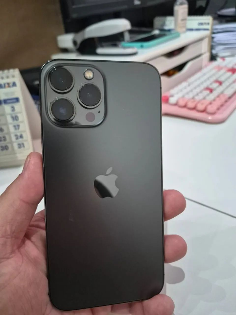iPhone 13 Pro Max