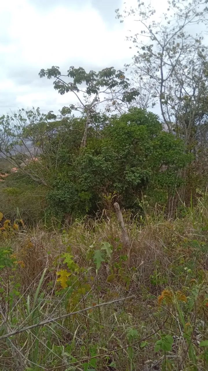 VENDE-SE TERRENO EM GUARAMIRANGA - CE - Foto 2