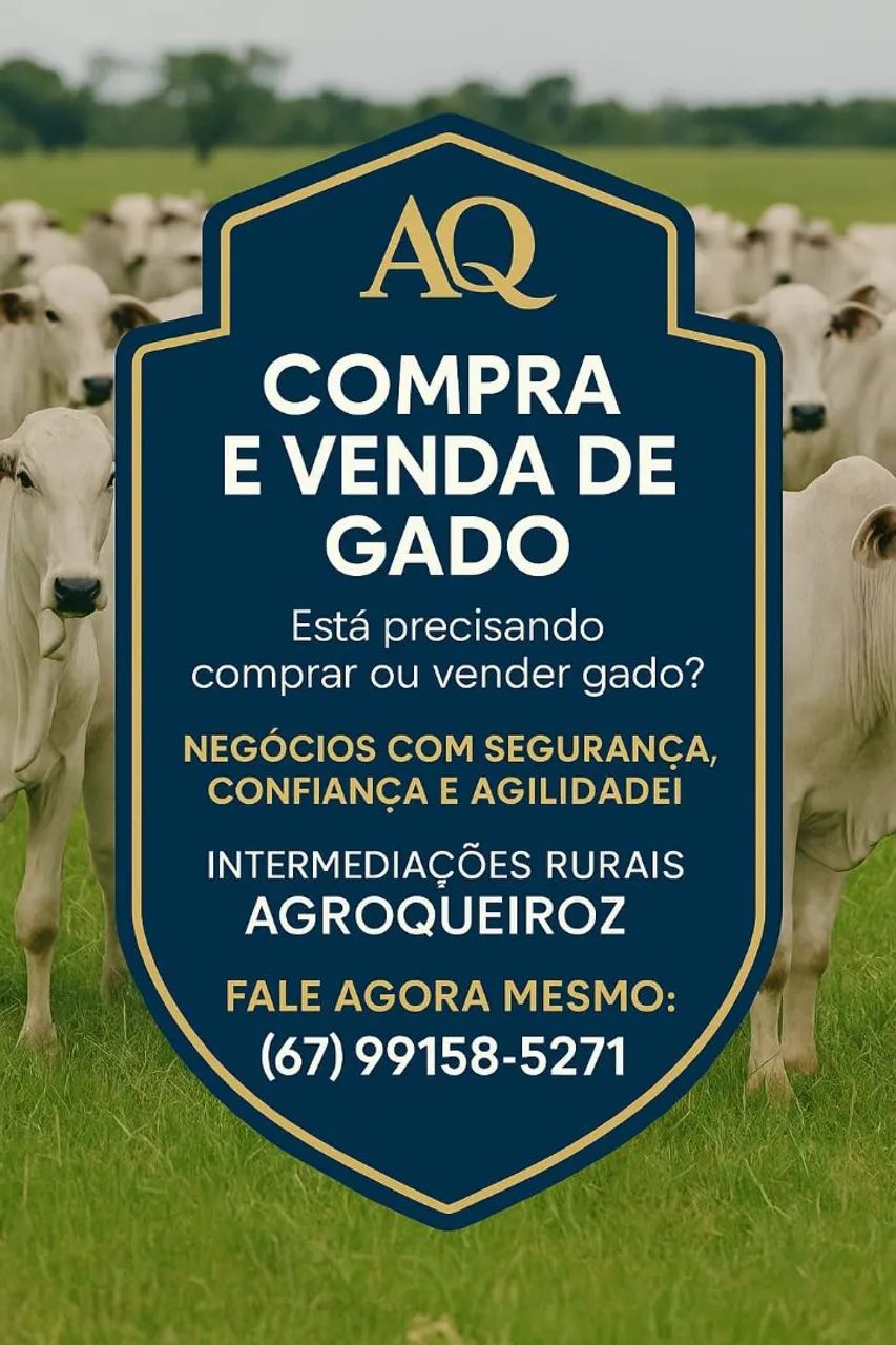 Intermediações Compra e venda Gado 