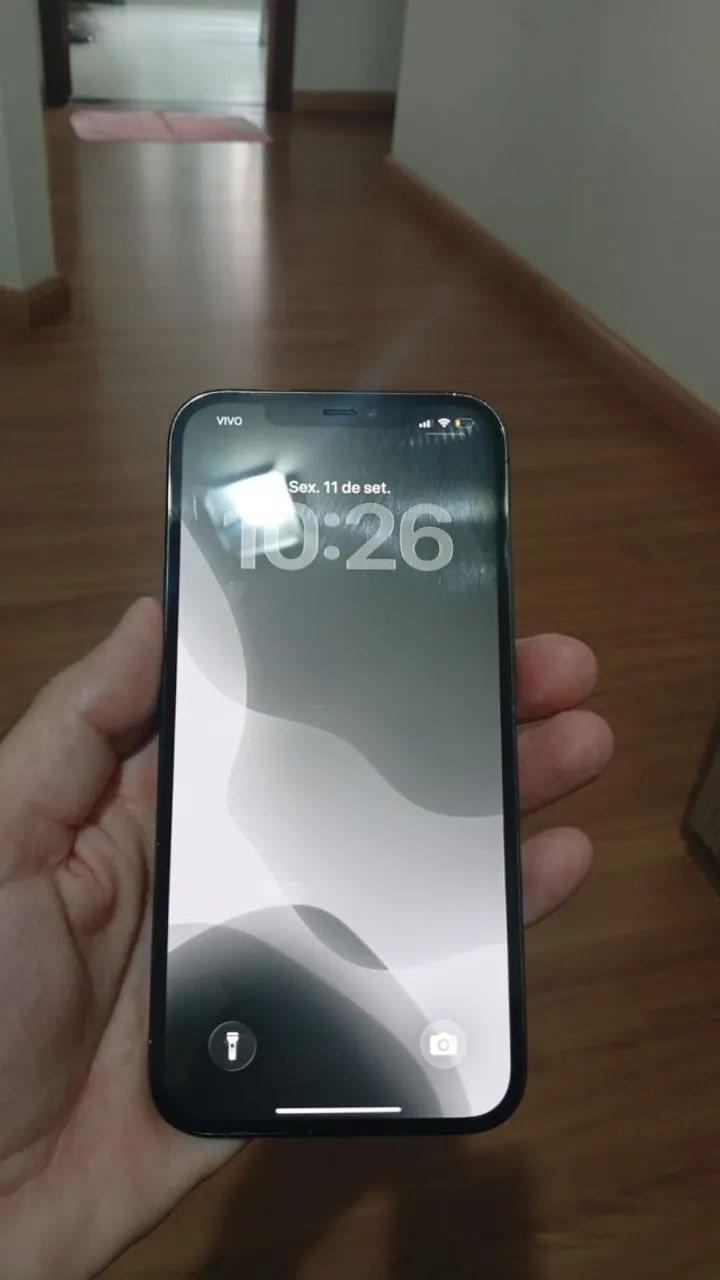 IPHONE 12 PRO MAX 256 GB