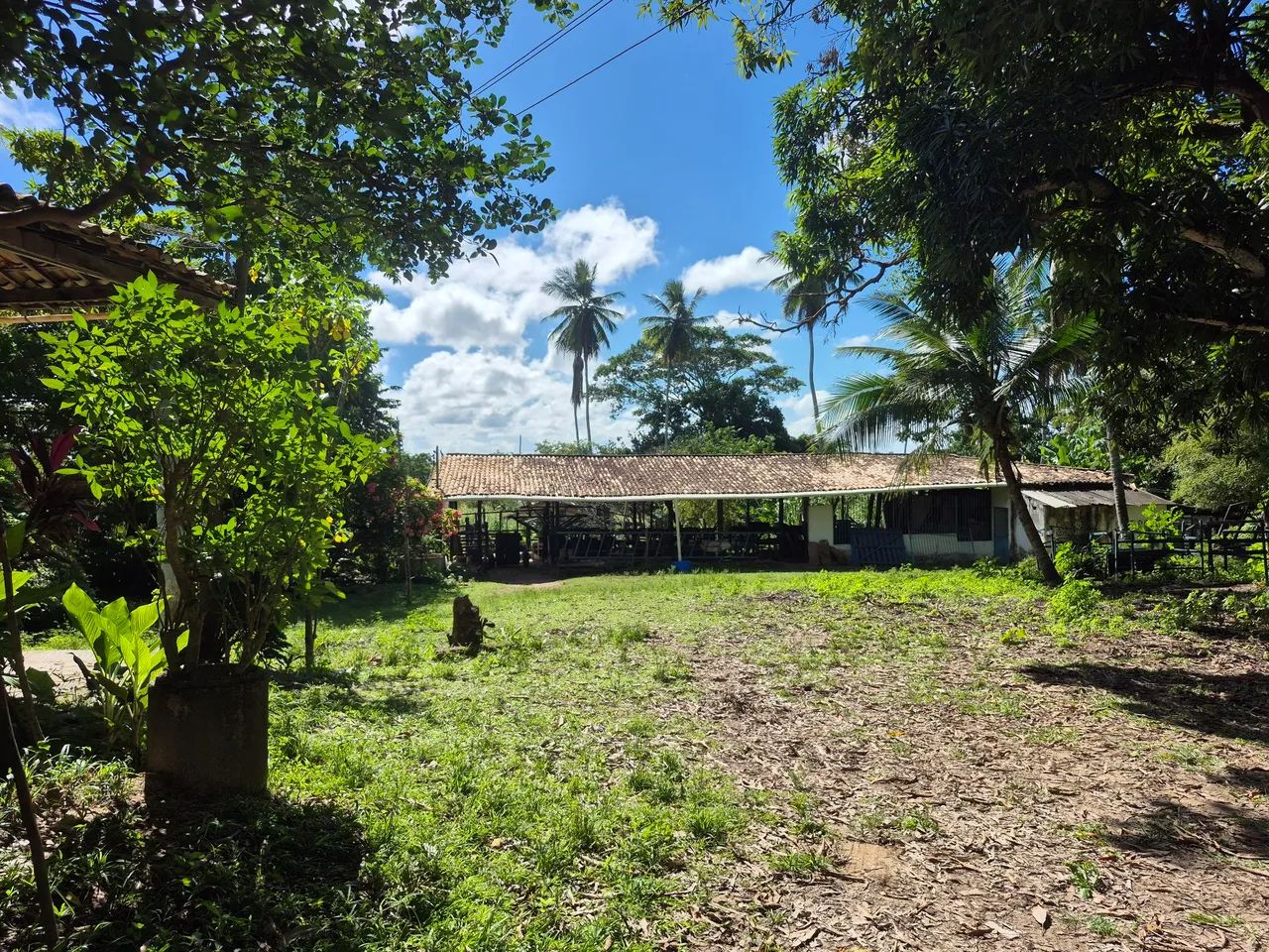 Vendo Sítio em São Cristovão Sergipe  - Foto 2