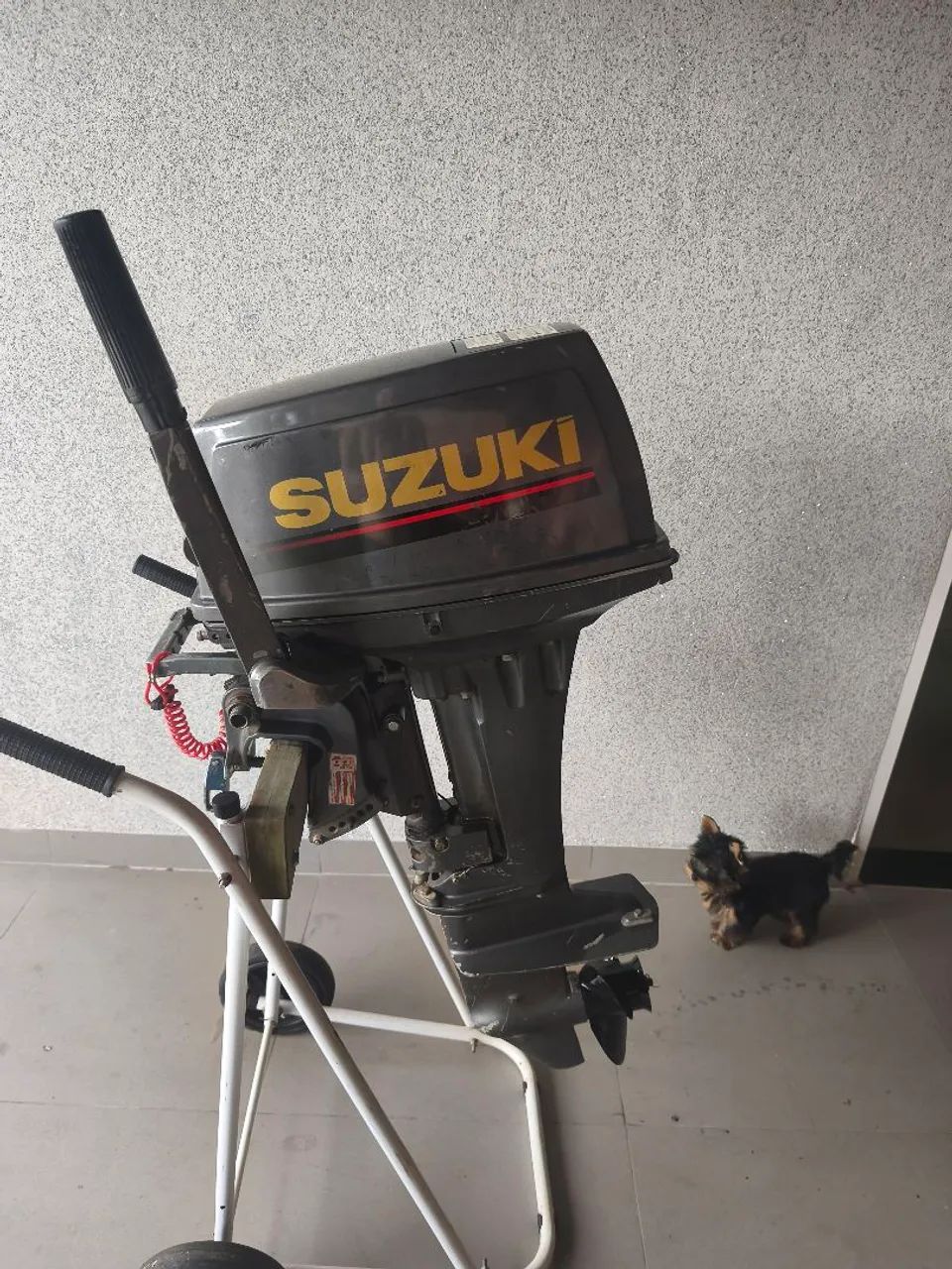 Motor de Popa 15 HP Suzuki 95 