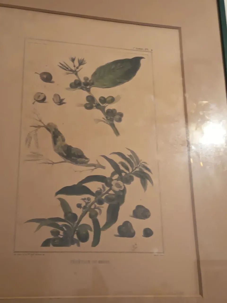 Quadro vintage  - Foto 2