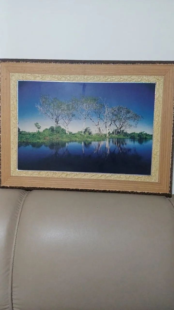 Quadros