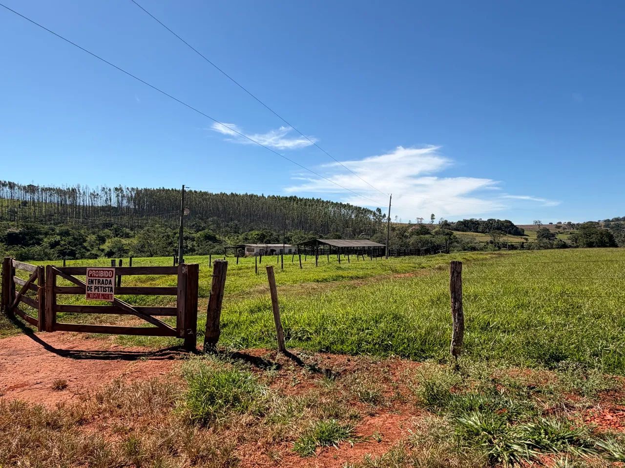 Aluguel de pasto - Foto 2