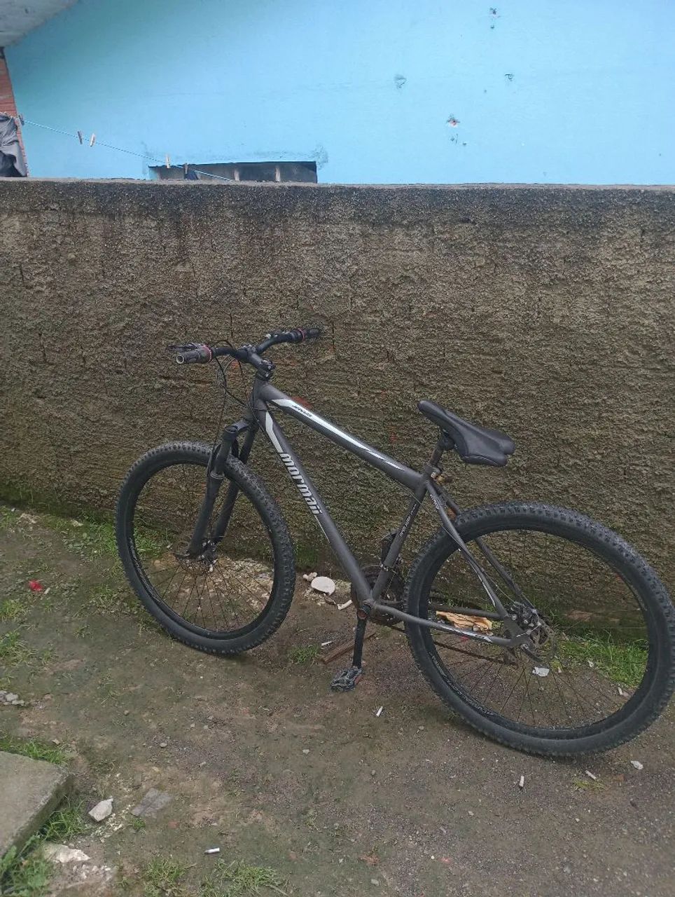 Bicicleta 