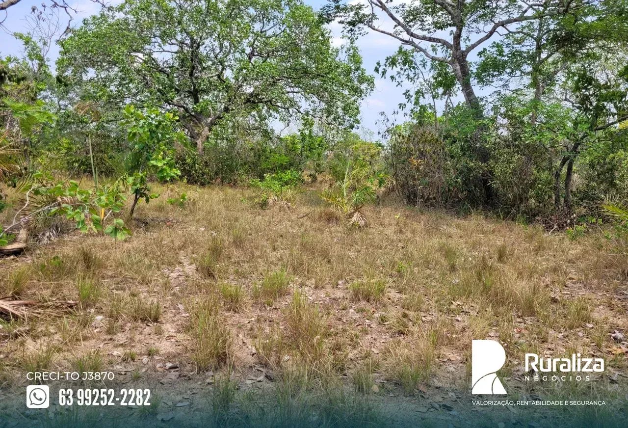 ÁREA BRUTA COM 270 HA DE POTENCIAL AGRÍCOLA | NASCENTES E CÓRREGOS - Foto 5