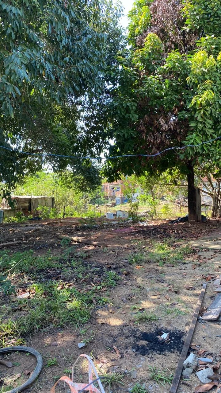 Lote no Piuminas de fundo pro rio  - Foto 2