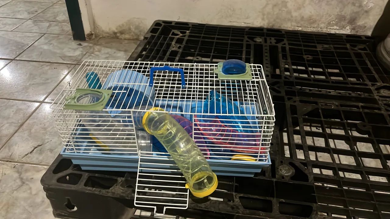 Gaiola para hanistr 