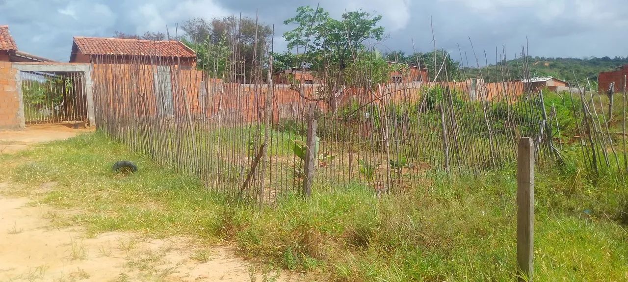 Terreno e loteamento - Foto 4