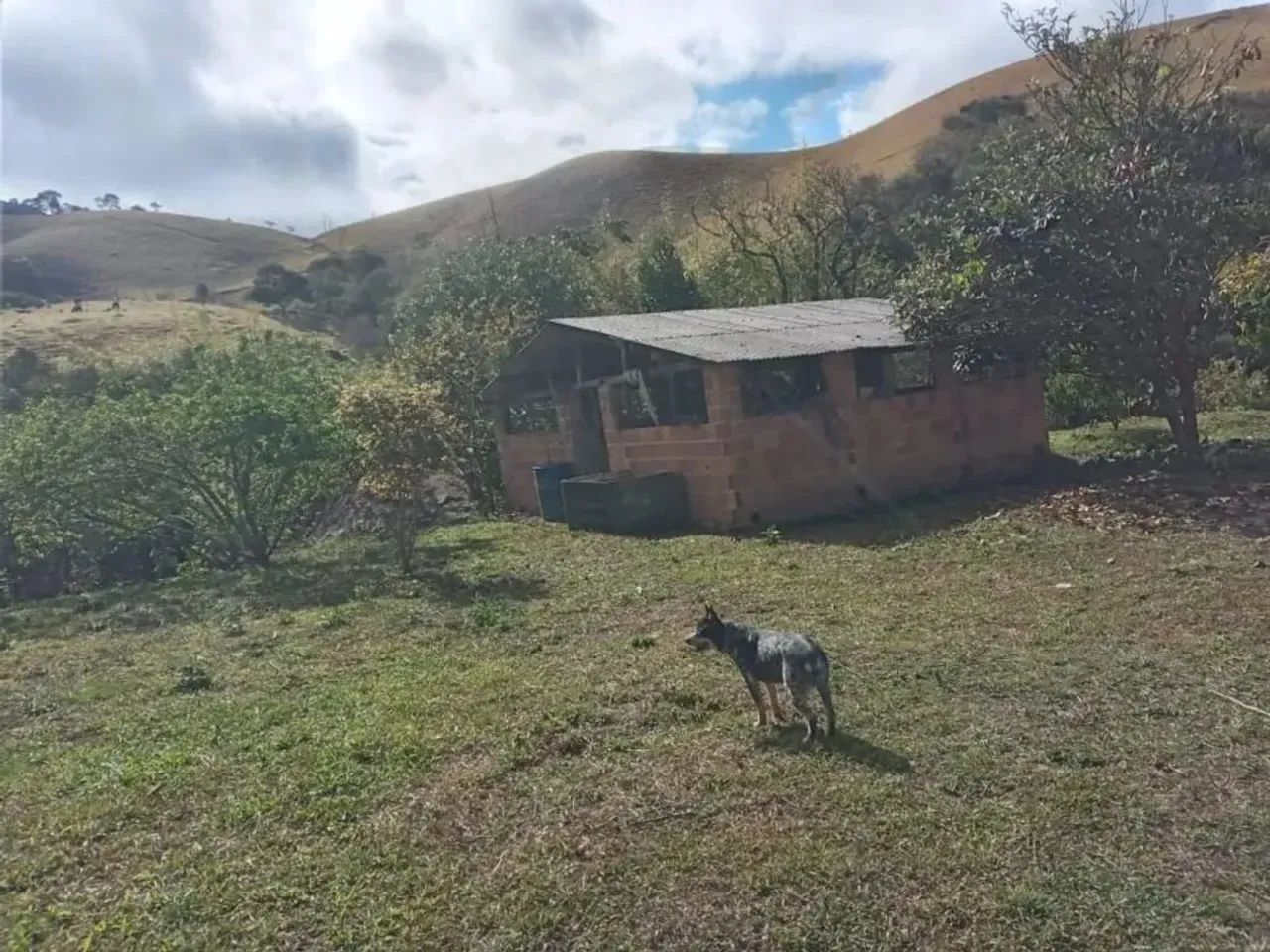 SÍTIO À VENDA | 20 ALQUEIRES | CUNHA/SP - Foto 4
