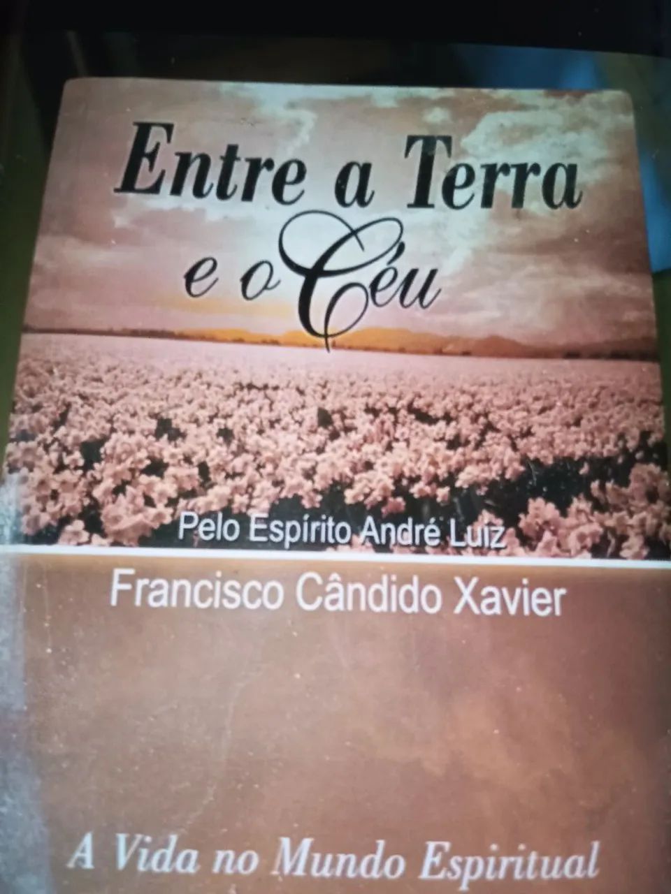 Livro: Entre a Terra e o Céu