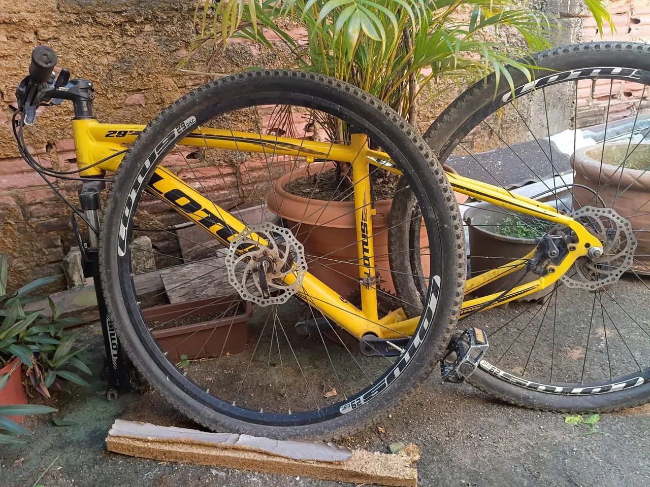 Bicicleta 