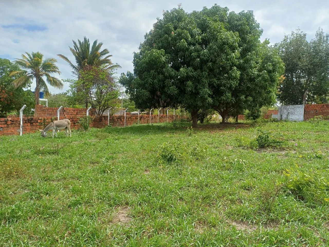 Terreno bom para construir  - Foto 3