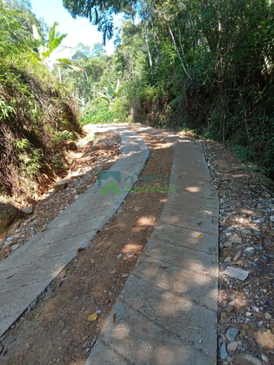 Chácara / Terreno - Foto 3