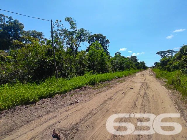 Terreno | São Francisco do Sul | Ervino - Foto 5