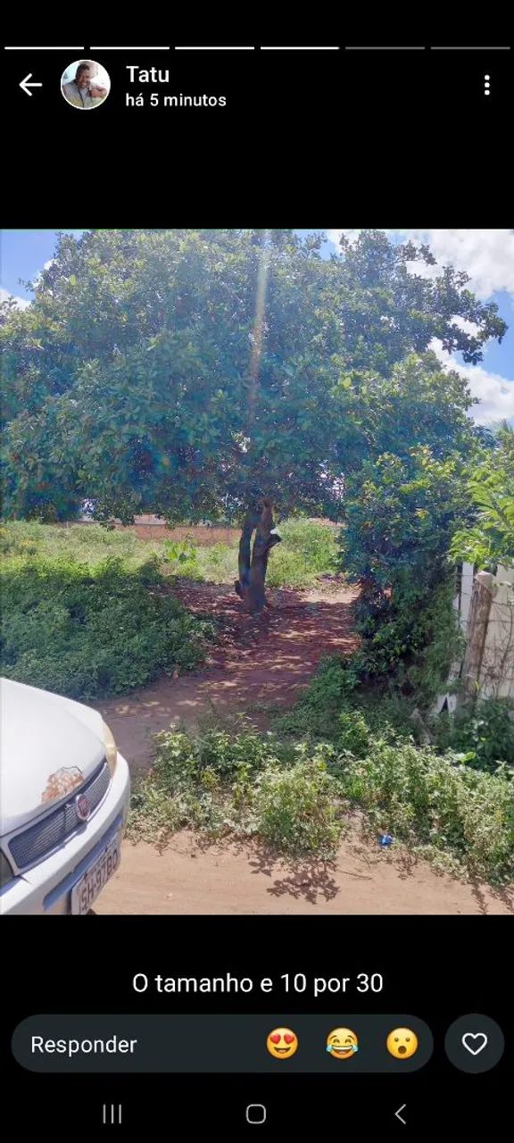 Terreno 