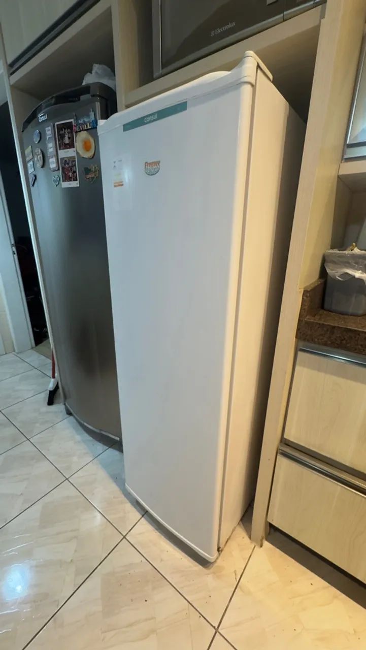 Frezzer consul 231 litros - Foto 2