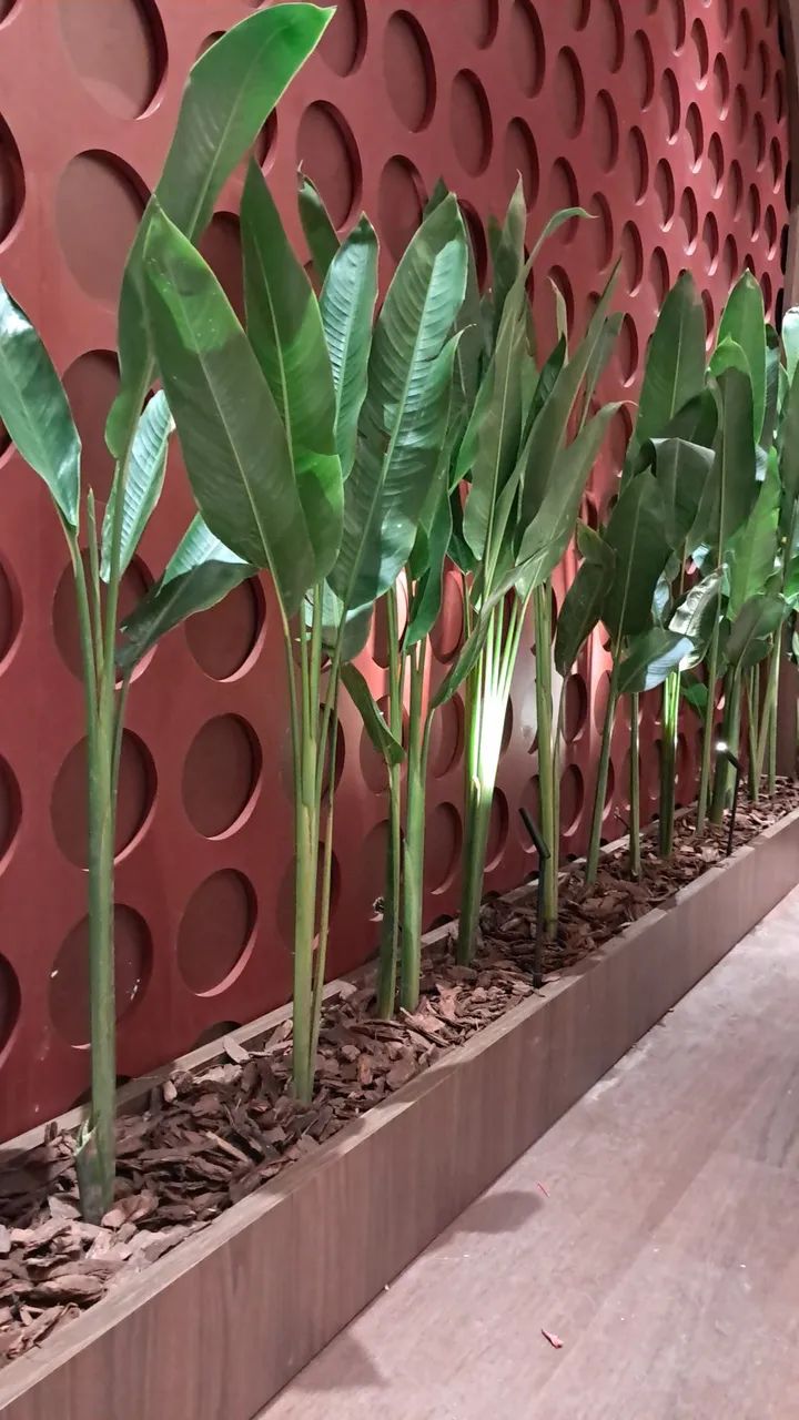 Serviço na casacor Jaguaribe  - Foto 4