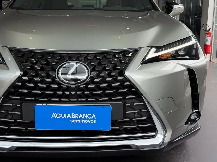 Lexus UX-250h Dynamic 2.0 16V Aut.(hybrid), foto 4 de 19
