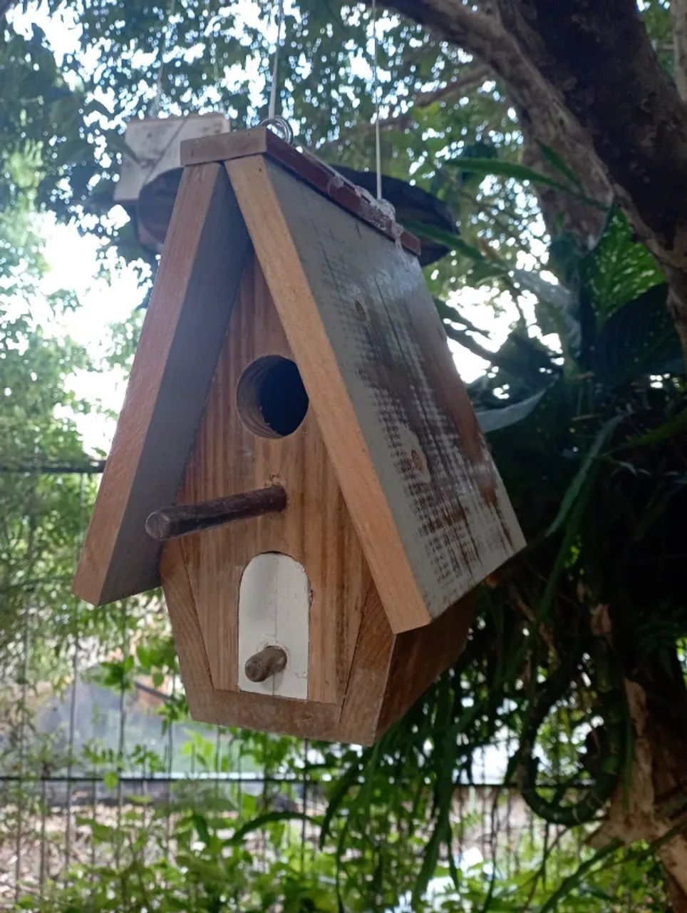 casa/ninho para curuira