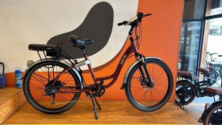 Ebike L Plus