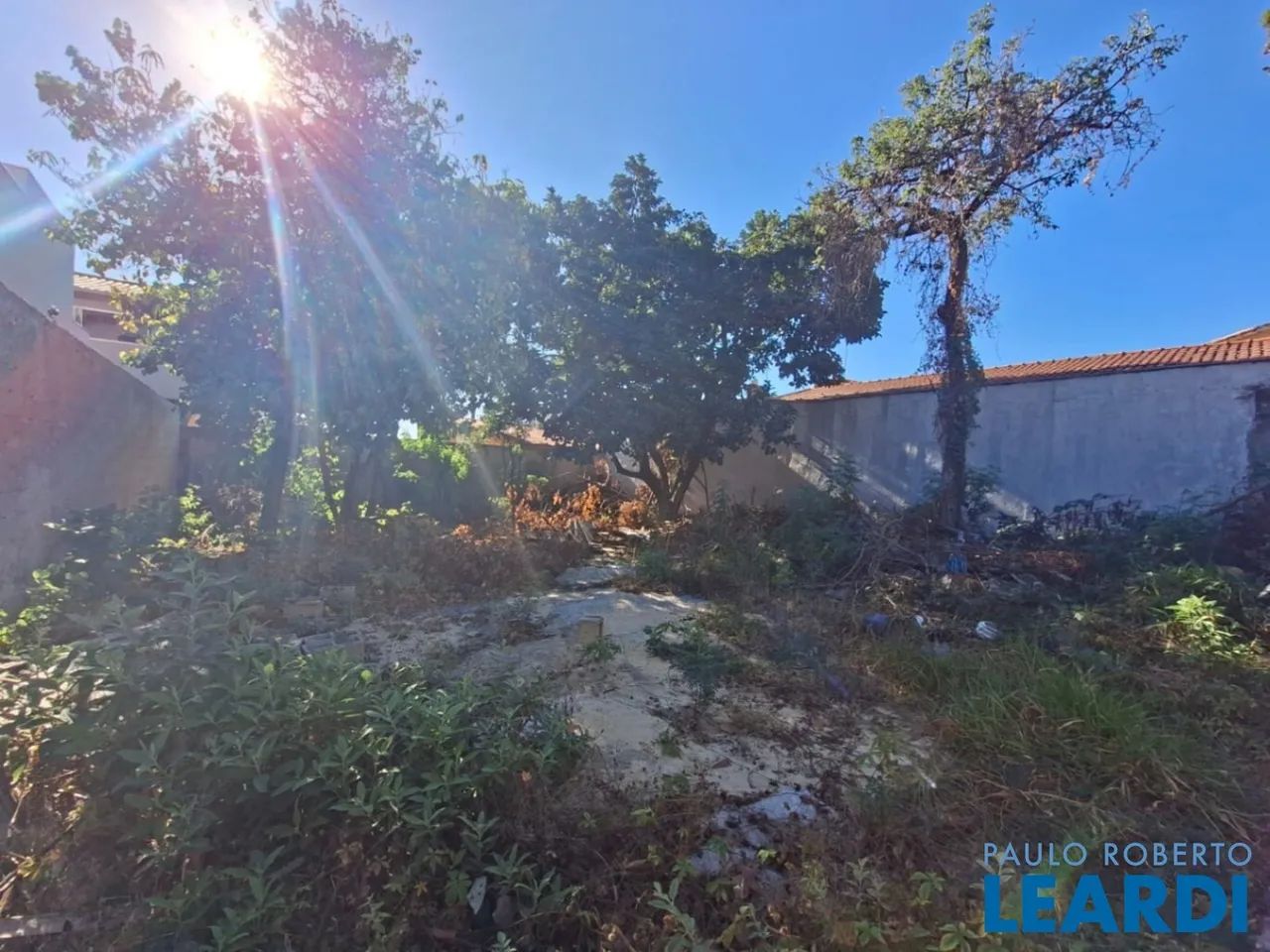 TERRENO - PLANALTO - MG - Foto 5