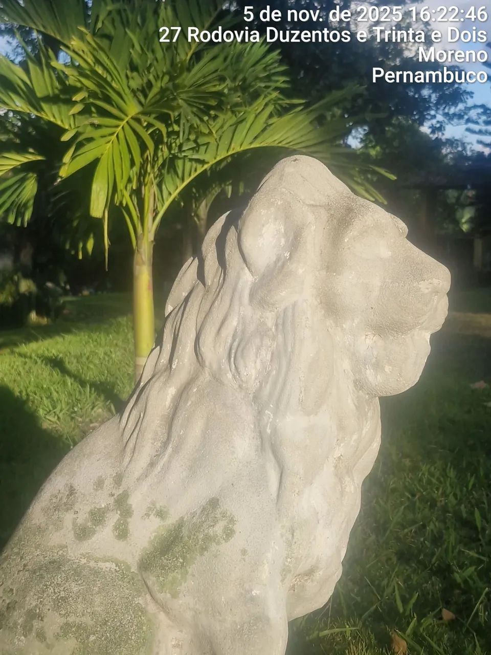 Sítio localizado em Moreno-Pe - Foto 6