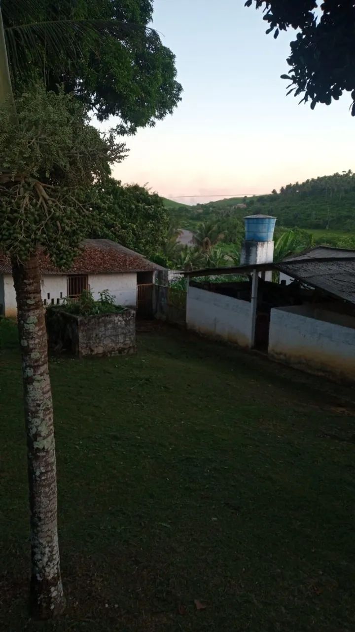 Chácara em Ipojuca/PE à Venda (CH0073-PV) - Foto 3