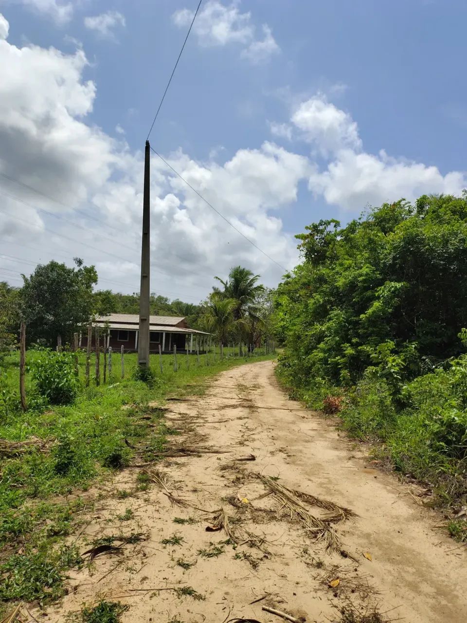 Terreno/Lote em Itapera - Foto 3