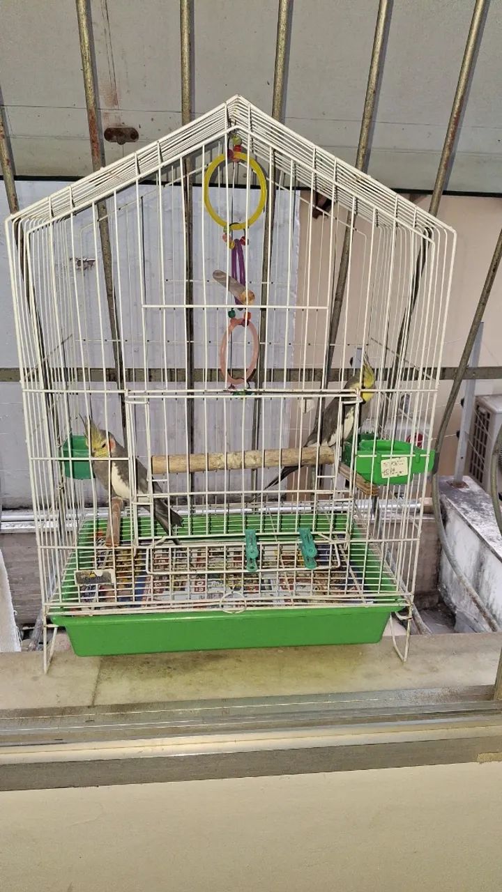 GAIOLA 