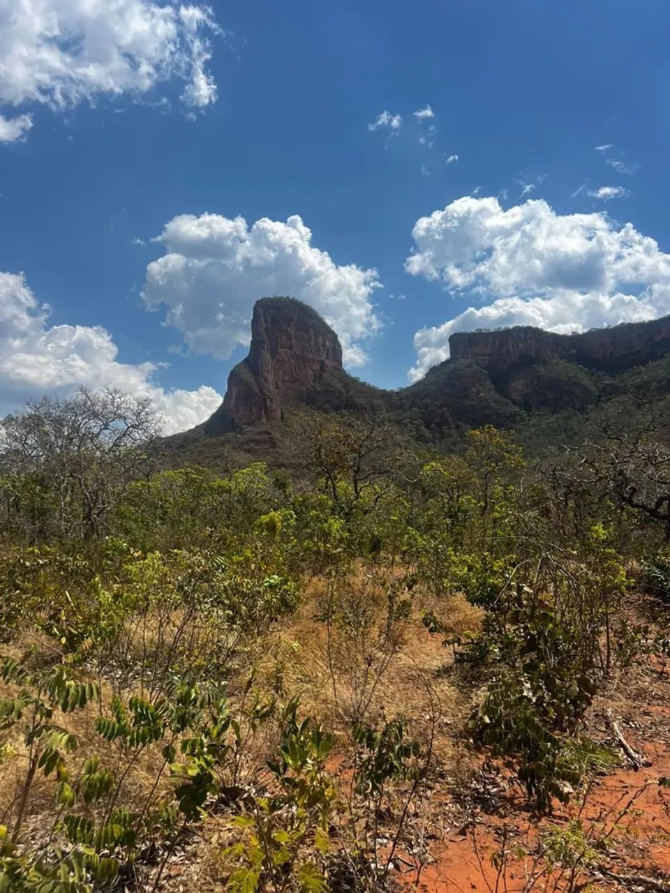 Venda área ponto comercial - Foto 3