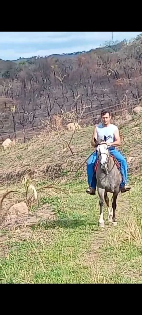 Égua 