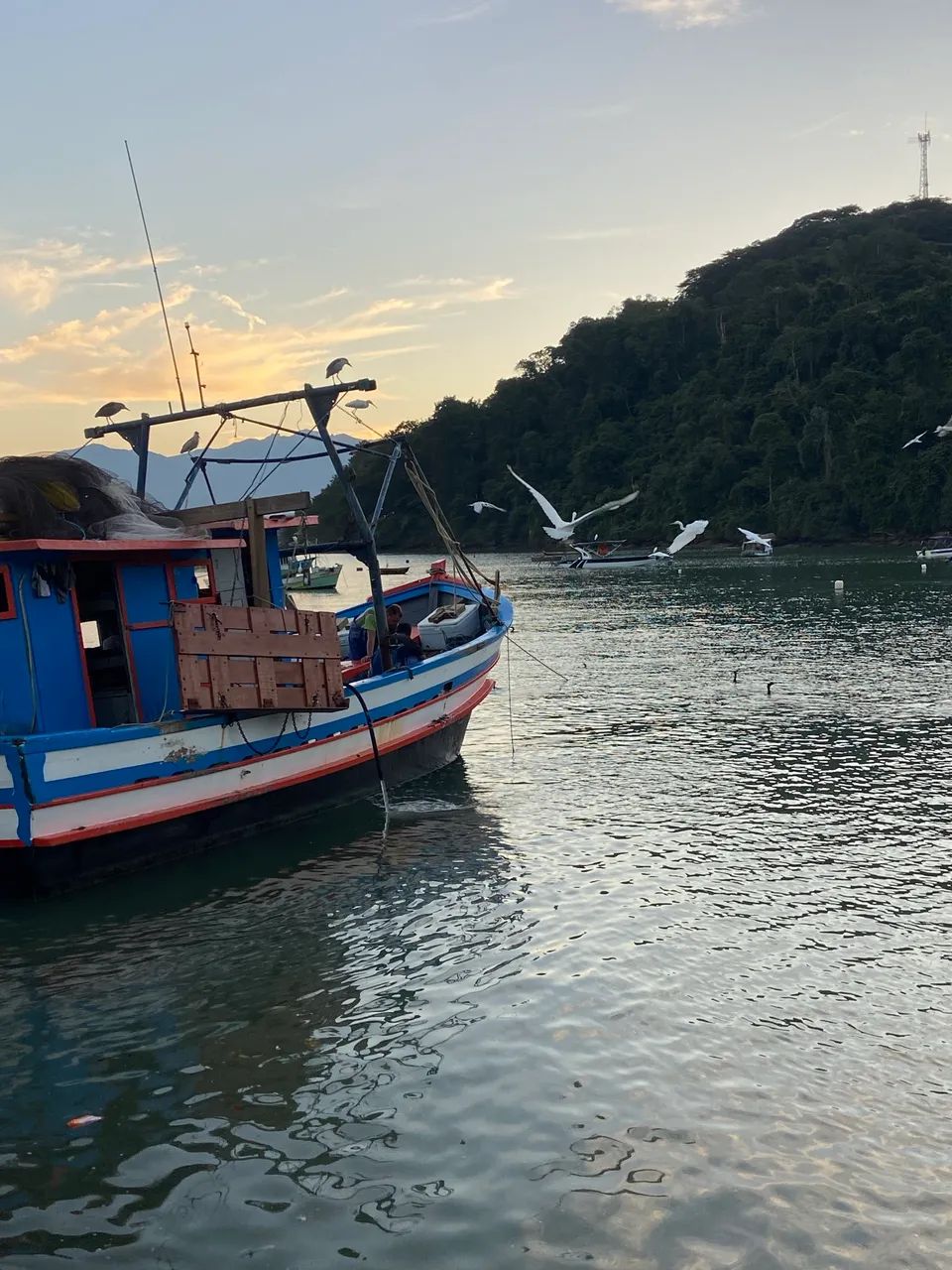 LOTES COM PREÇO DE LANÇAMENTO EM TARITUBA PARATY! 1